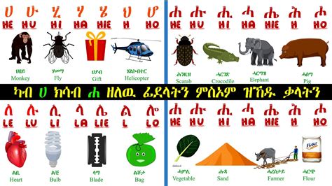Geez Alphabet And Tigrigna Words ካብ ሀ ክሳብ ሐ ዘለዉ ፊደላትን ምስኦም ዝኾዱ ቃላትን