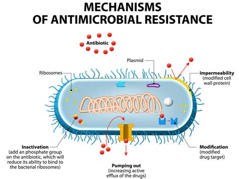 Antibiotics Resistance Mymicrobiome