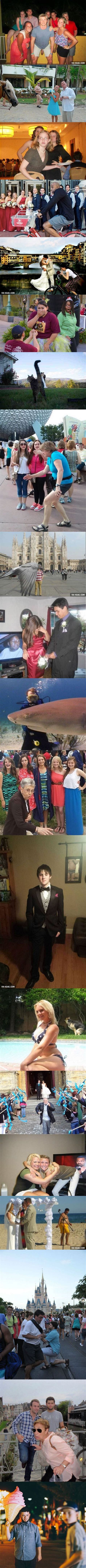 The 20 Majestic Accidental Photobomb Funny Photos Funny Pictures