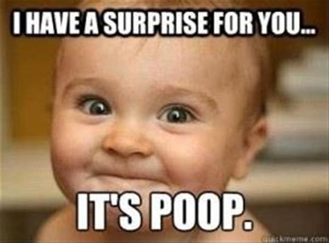 Poop Meme Funny Pooping Meme And Pictures