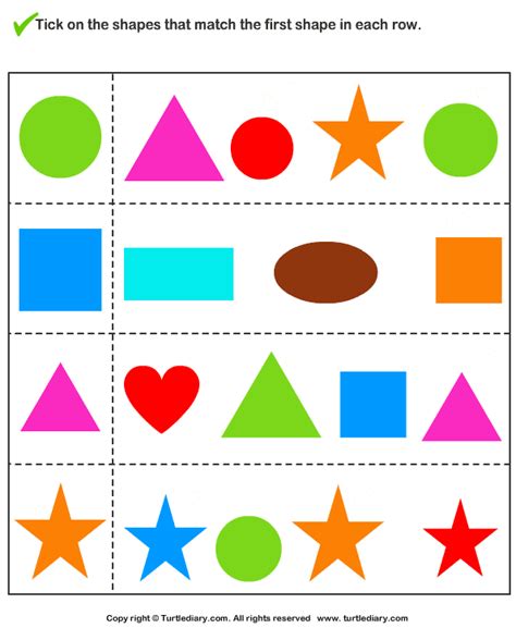 Tick Shapes That Matches Given Shape Worksheet Turtle Diary