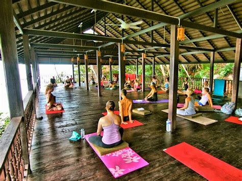 3 Days Meditation And Vikasa Yoga Retreat In Koh Samui Thailand