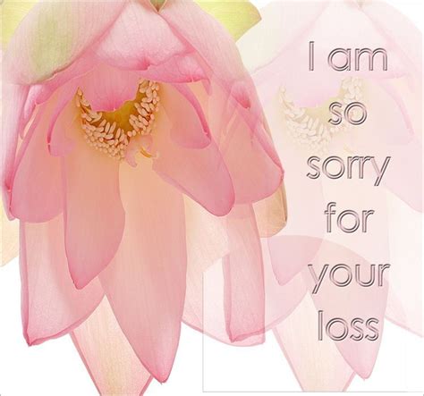 Pin By Wendy Bagley On Sympathy Messages Sympathy Messages Sympathy