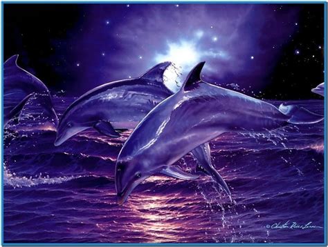 Glitter Dolphin Think Dolphins Are Beautiful Creatures Dont You