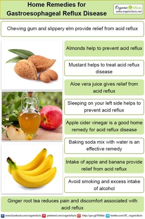 These are my top 5 natural remedies for acid reflux and the many ways you can incorporate them in your daily meals. Pin on Healthy Family