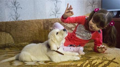 Путин подари кученце на девојче кое боледува од аутизам russia beyond Македонија