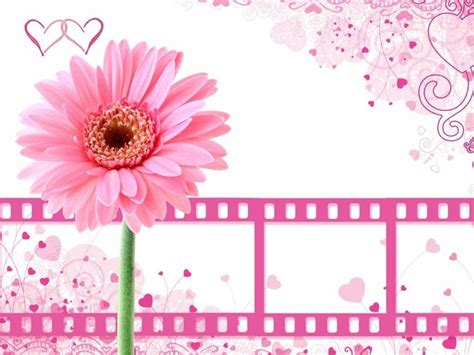 Maybe you would like to learn more about one of these? Pretty pink flower with film clips Free PPT Backgrounds ...