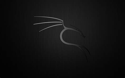 Kali Linux Wallpaper 4k For Windows