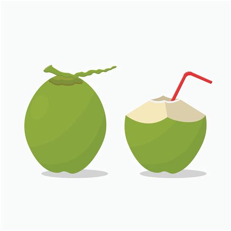 Green Coconut Whole And Slice With Straw Vector Illustration 13236607