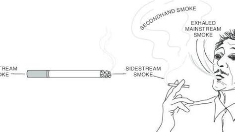 Mainstream Smoke Derictly Inhaled Smoke Brainly Ph