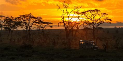 12 Days Kenya Safari Meru Samburu Rift Valley Masai Mara