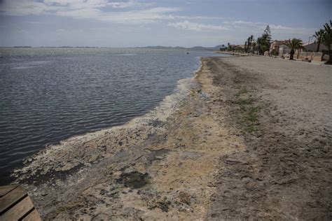 Mar Menor Environmental Disaster Has Economic Impact Inspainnews
