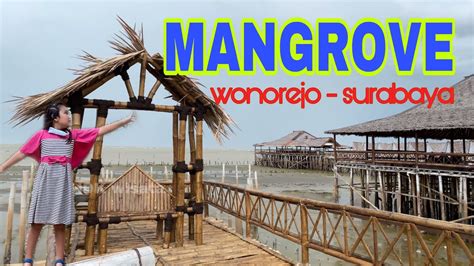 Wisata Mangrove Wonorejo Surabaya Youtube