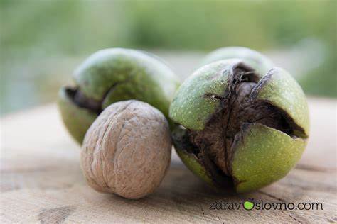 Орехи :: Здравословно хранене и диета в калории. Калкулатор на храни Картинка - Орехи :: Здравословно хранене и диета в калории. Калкулатор на храни