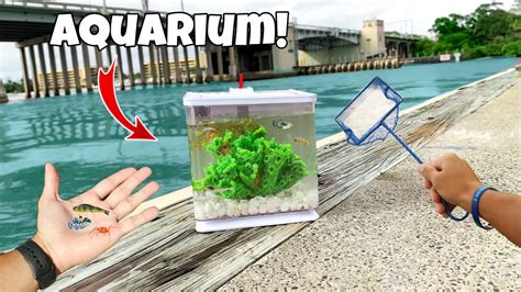 Worlds Smallest Saltwater Aquarium Youtube