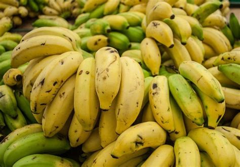 Bananas Are Radioactive Scientific Scribbles