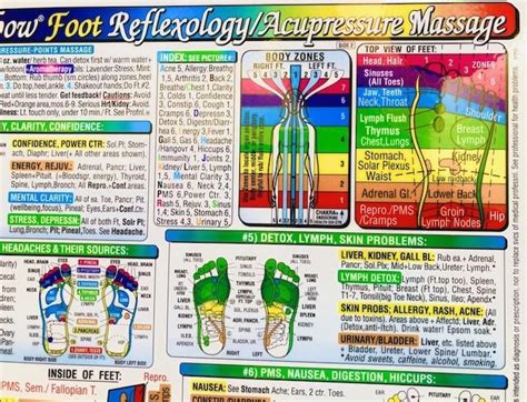 Rainbow® Foot Reflexology Acupressure Massage Chart In The Inner Light Resources Rainbow® Cards