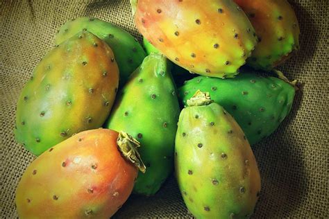 Tropical Fruits From Mexico