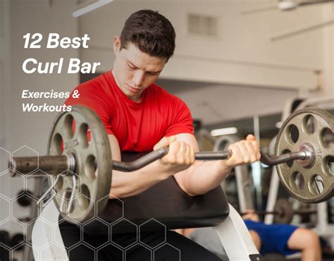 12 Best Curl Bar Exercises And Workouts That Actually Work Fitbod