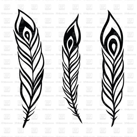 Feather Hand Drawn By Ink Vector Image Vector Artwork Of