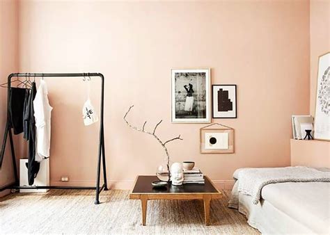 20 Peach Room Decorating Ideas