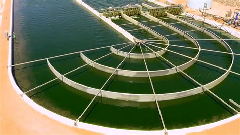 Uk Firm Said To Plan 440m Algae Farm In Oman Arabian Business