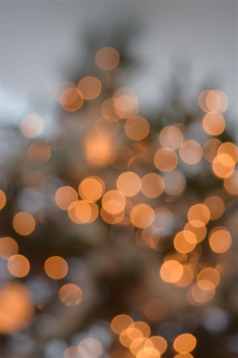 900+ Blur Background Images: Download HD Backgrounds on Unsplash