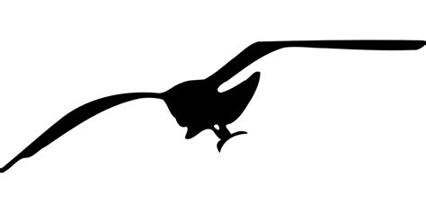 Download now kendaraan stiker memantulkan cahaya cantik burung merak pola dapat dilepas tahan air stiker. Vektor burung png 6 » PNG Image