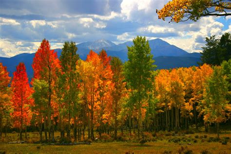 Best Places To See The Fall Colors In Colorado Building Our Story