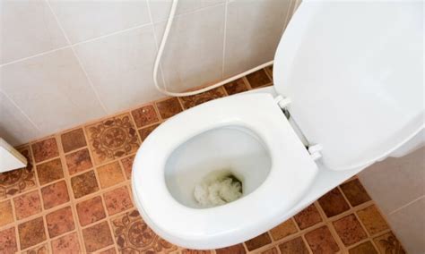 Why Is My Toilet Bubblinggurgling Causes And Fix Methods