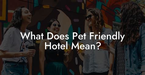 What Does Pet Friendly Hotel Mean? - Dog Hotels