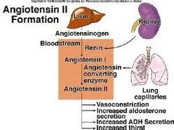 This review will break down what you ace inhibitors nclex review. Angiotensin-Converting Enzyme (ACE) Inhibitors, Lab ...