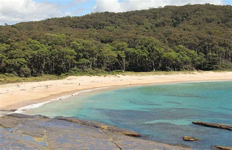 Best South Coast Nsw Campgrounds Nsw National Parks