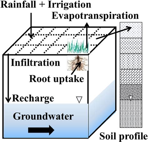 The Progress Of Water Flow Through The Soil Profile In The Coupled