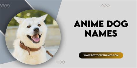 200 Anime Dog Names Name Ideas And Inspiration Explore Dog Names