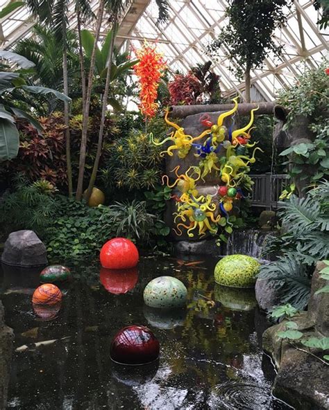 Chihuly Celebrating Nature Opens Today Through March 2020