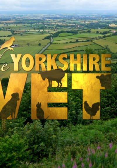 Watch Yorkshire Vet Online For Free Stream Full Episodes Tubi