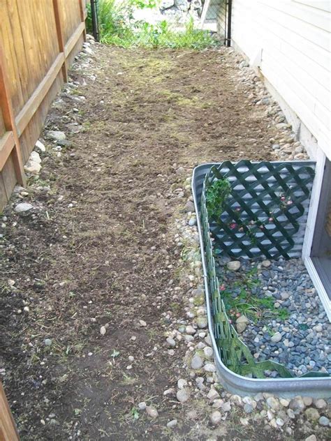 How To Remove And Prevent Weeds From Growing In Your Yard Dengarden