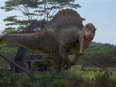 Spinosaurus Park Pedia Jurassic Park Dinosaurs Porn Sex Picture