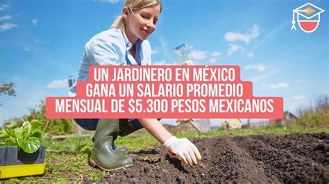 Cuánto Gana Un Jardinero En México Funciones Perfil Y Más