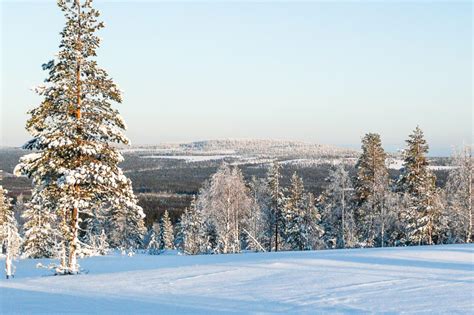 Winter Week In Katkavaara Seeking Aurora Borealis 2020 2021 Lapland Welcome Laponia