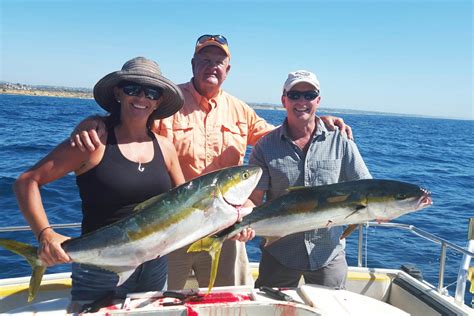 Yellowtail Amberjack