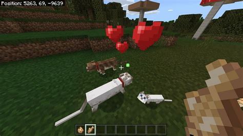 What Do Cats Eat In Minecraft Cat Meme Stock Pictures And Photos