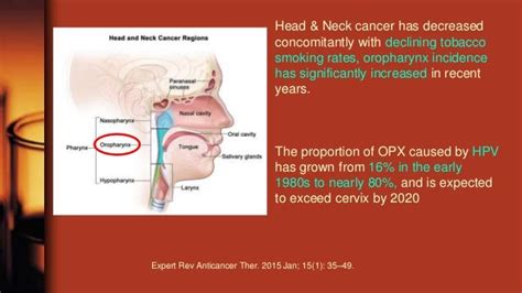 Oropharynx Cancer And Hpv In 2019