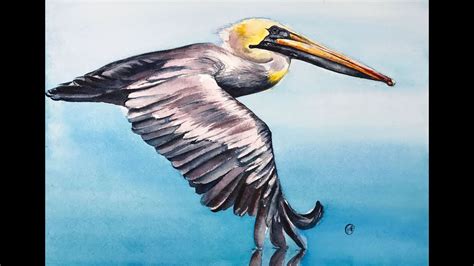 Flying Pelican In Watercolors Painting Tutorial Youtube