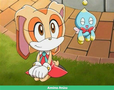 cream the rabbit and cheese the chao sonic the hedgehog amino