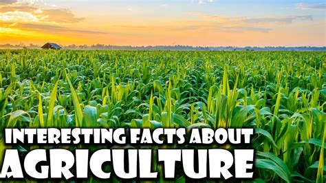 Interesting Facts About Agriculture Important Agriculture Facts Interesting Facts Riddler