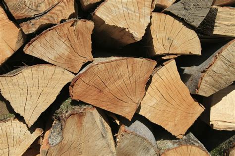 Seasoned Softwood Logs Weymouth Tree Surgeon