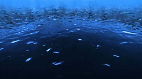 Deep Blue Sea Live Wallpaper 1080p Youtube