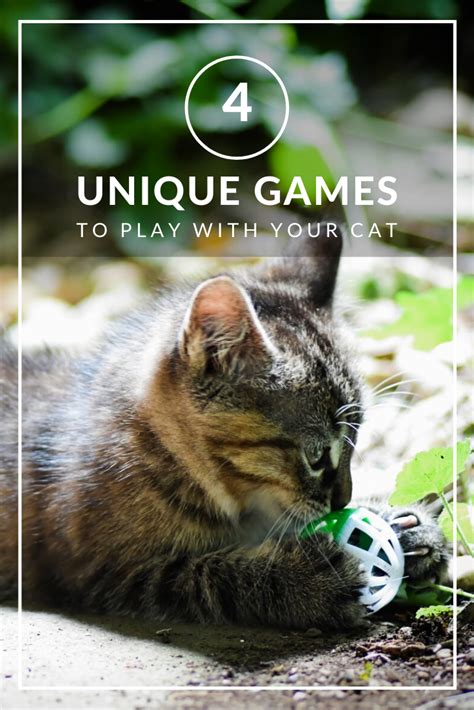 Games You Can Play With Your Cat Cats Will Play